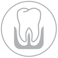 Icon Parodontologie - Zahn mit Wurzel im Zahnfleisch